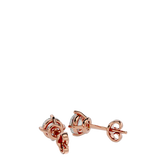 Earrings 1 ct
