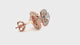 Earrings 2 ct