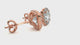 Earrings 1.5 ct